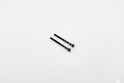 TAMIYA 2x30mm Cap Screw (2 pieces)